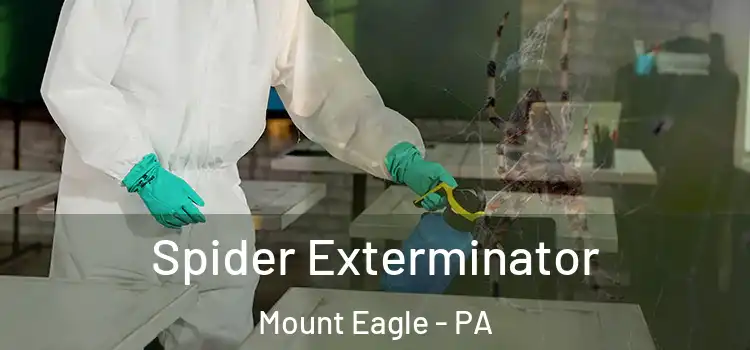  Spider Exterminator Mount Eagle - PA