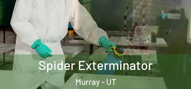  Spider Exterminator Murray - UT