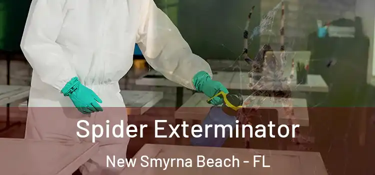 Spider Exterminator New Smyrna Beach - FL