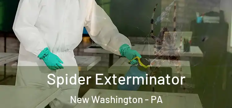  Spider Exterminator New Washington - PA