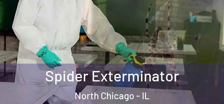  Spider Exterminator North Chicago - IL