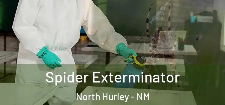 Spider Exterminator North Hurley - NM