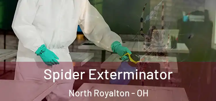  Spider Exterminator North Royalton - OH