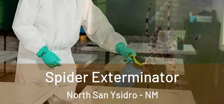  Spider Exterminator North San Ysidro - NM