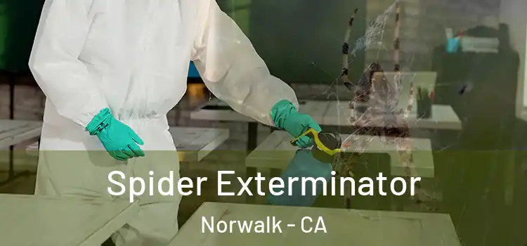  Spider Exterminator Norwalk - CA