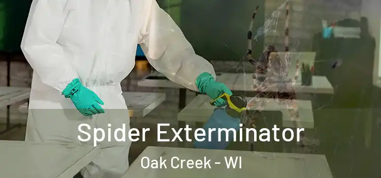  Spider Exterminator Oak Creek - WI