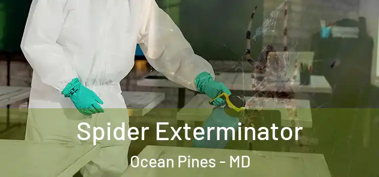 Spider Exterminator Ocean Pines - MD