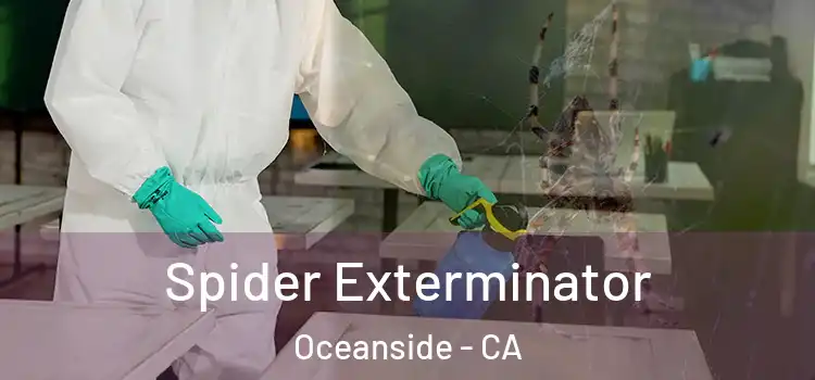  Spider Exterminator Oceanside - CA