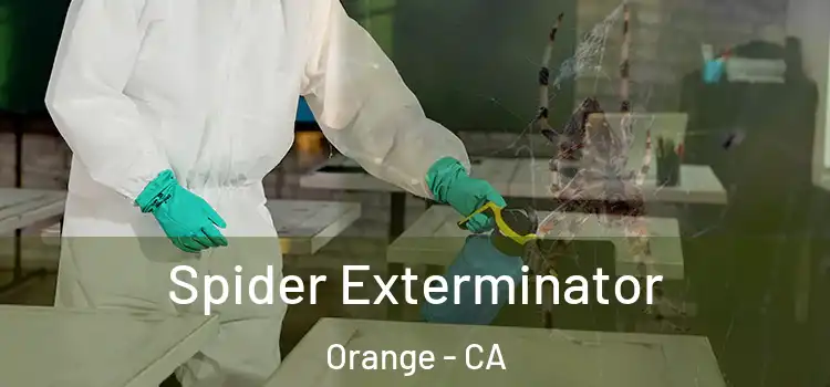Spider Exterminator Orange - CA