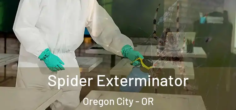  Spider Exterminator Oregon City - OR