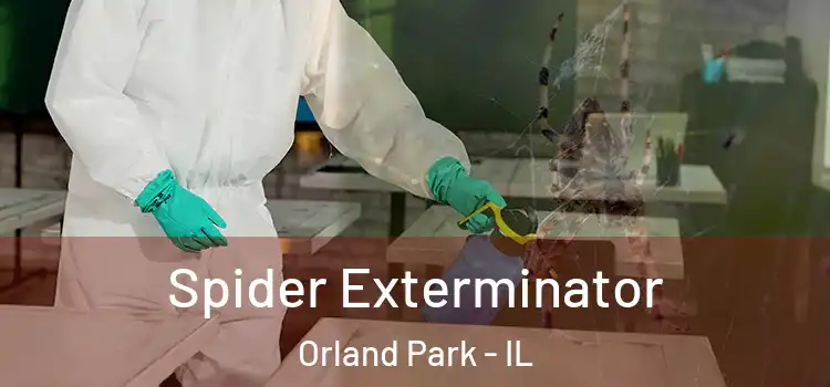 Spider Exterminator Orland Park - IL
