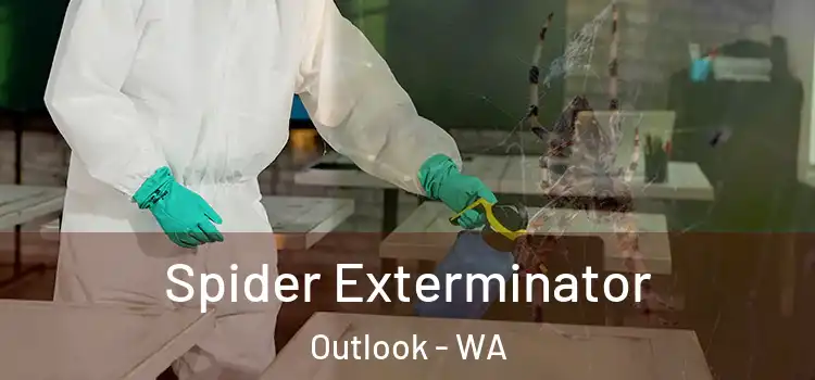  Spider Exterminator Outlook - WA