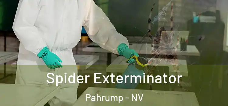  Spider Exterminator Pahrump - NV