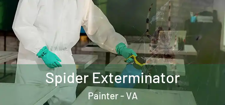 Spider Exterminator Painter - VA
