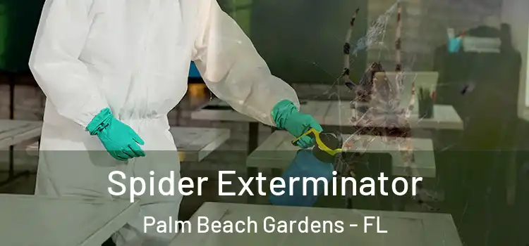 Spider Exterminator Palm Beach Gardens - FL