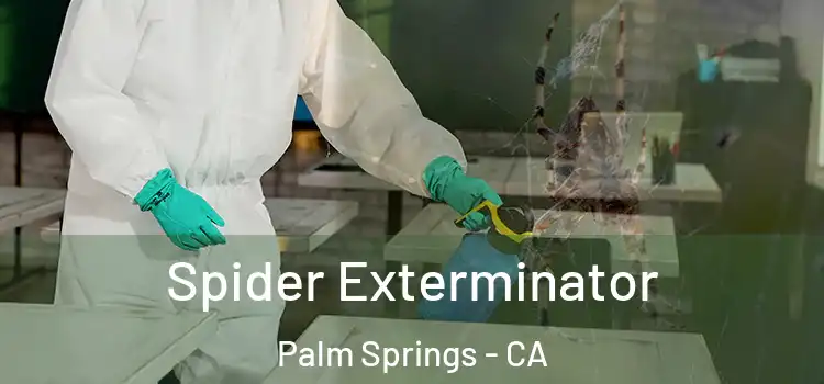  Spider Exterminator Palm Springs - CA