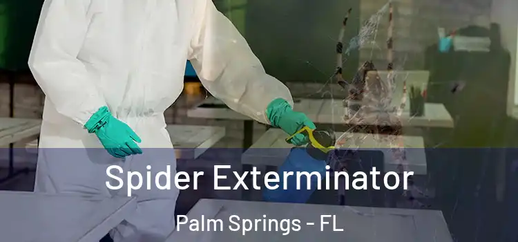  Spider Exterminator Palm Springs - FL