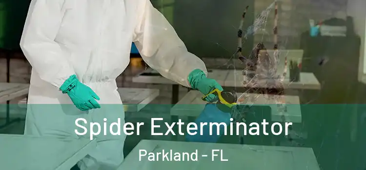 Spider Exterminator Parkland - FL