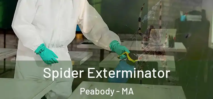  Spider Exterminator Peabody - MA