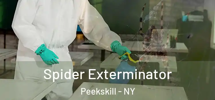  Spider Exterminator Peekskill - NY
