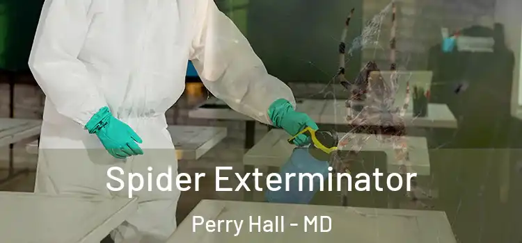 Spider Exterminator Perry Hall - MD