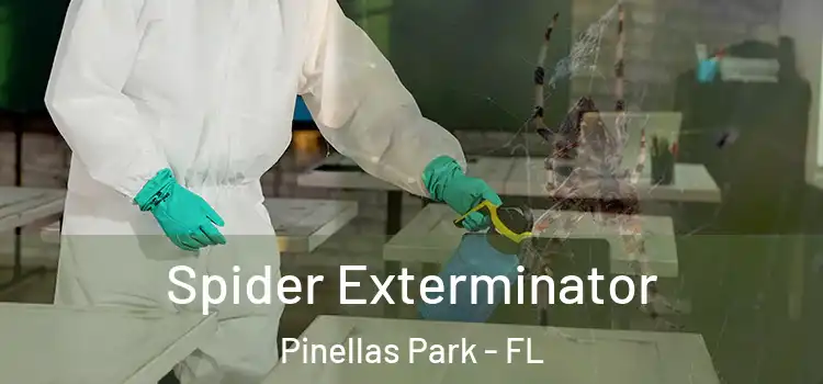  Spider Exterminator Pinellas Park - FL