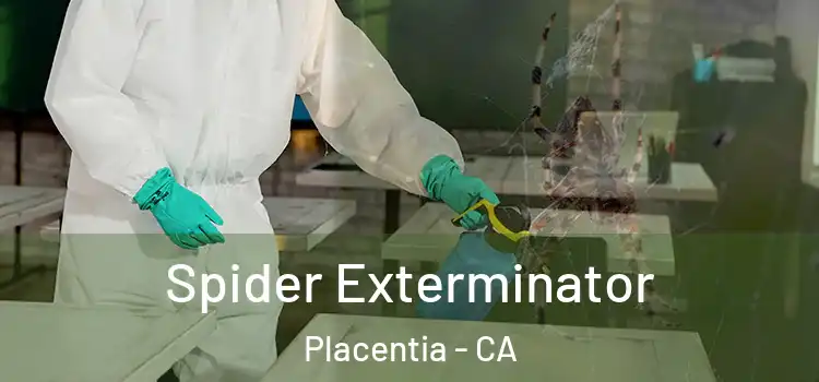  Spider Exterminator Placentia - CA