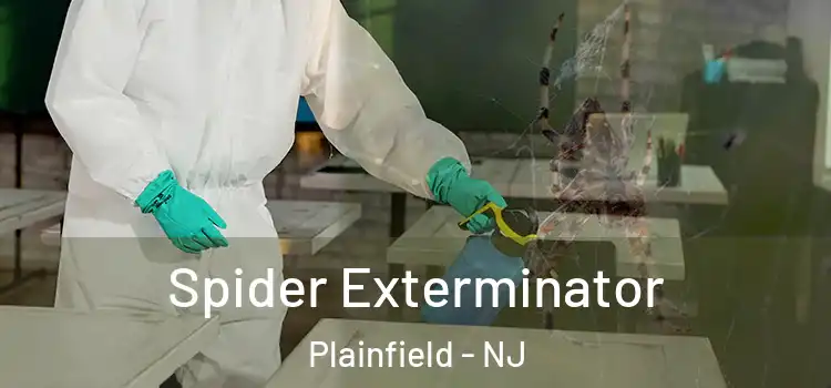  Spider Exterminator Plainfield - NJ