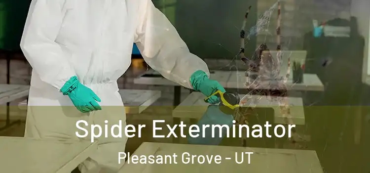 Spider Exterminator Pleasant Grove - UT