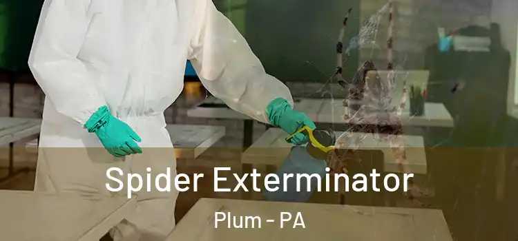  Spider Exterminator Plum - PA