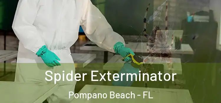 Spider Exterminator Pompano Beach - FL