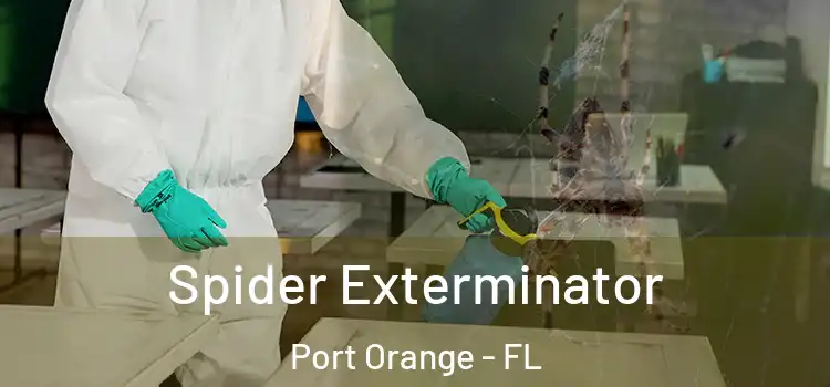 Spider Exterminator Port Orange - FL