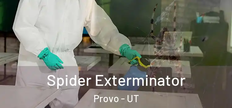  Spider Exterminator Provo - UT