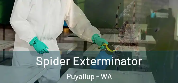  Spider Exterminator Puyallup - WA