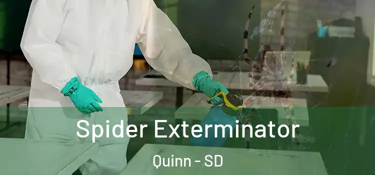  Spider Exterminator Quinn - SD