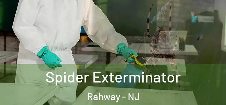  Spider Exterminator Rahway - NJ