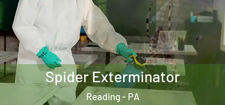  Spider Exterminator Reading - PA