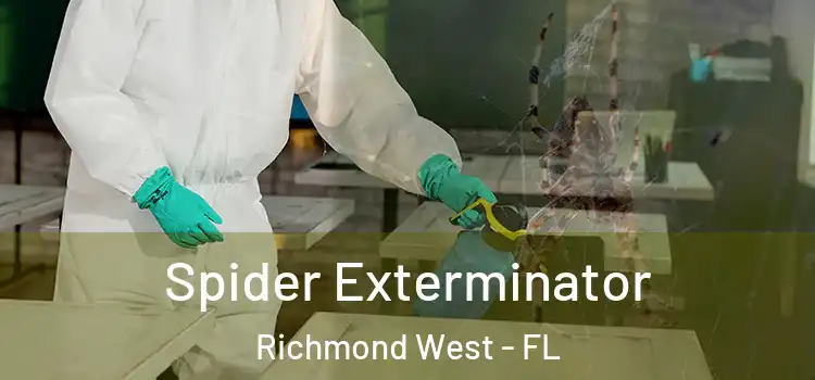 Spider Exterminator Richmond West - FL
