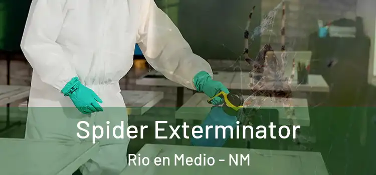 Spider Exterminator Rio en Medio - NM