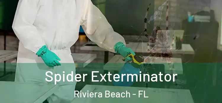 Spider Exterminator Riviera Beach - FL