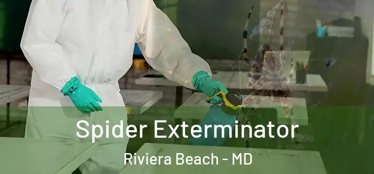  Spider Exterminator Riviera Beach - MD