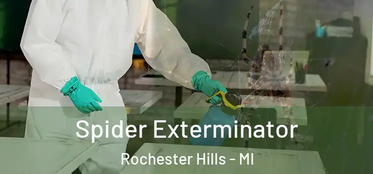 Spider Exterminator Rochester Hills - MI