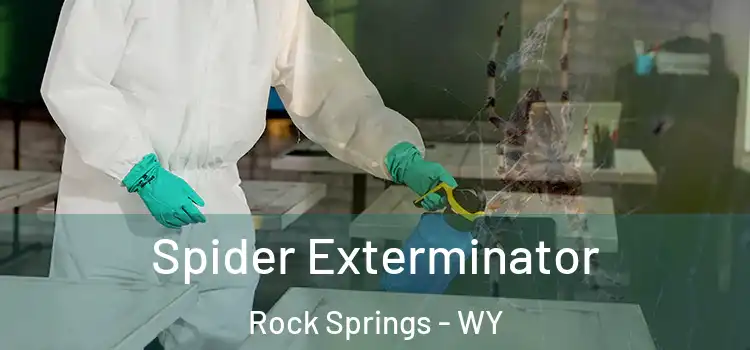 Spider Exterminator Rock Springs - WY