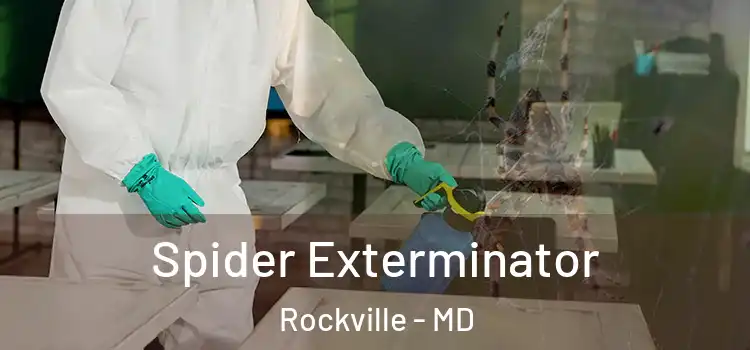 Spider Exterminator Rockville - MD