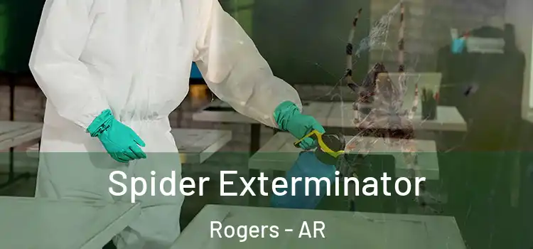  Spider Exterminator Rogers - AR
