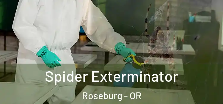  Spider Exterminator Roseburg - OR