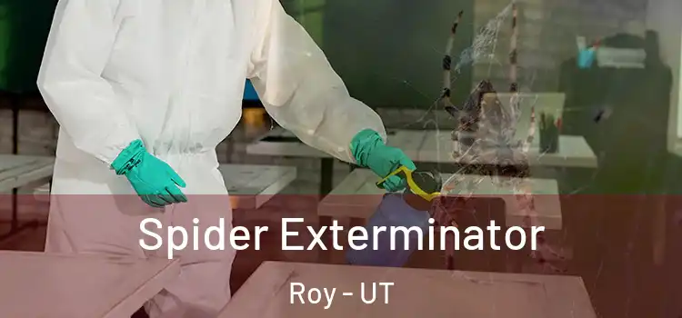  Spider Exterminator Roy - UT
