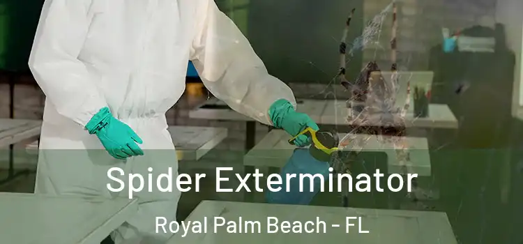 Spider Exterminator Royal Palm Beach - FL
