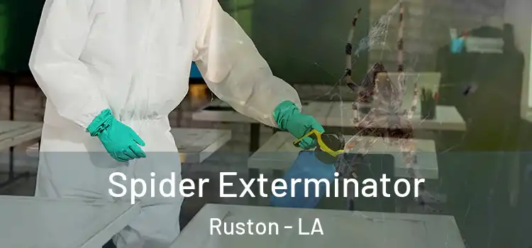  Spider Exterminator Ruston - LA
