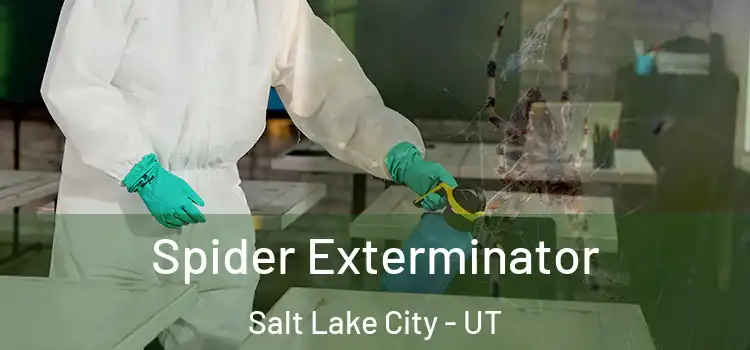  Spider Exterminator Salt Lake City - UT
